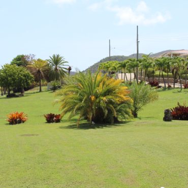 Garden View Studio (12)